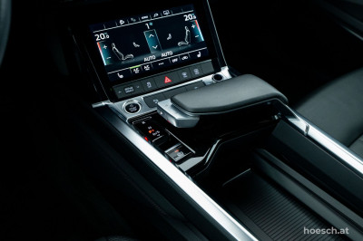 Audi e-tron Gebrauchtwagen