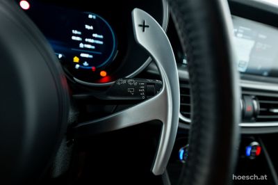 Alfa Romeo Stelvio Gebrauchtwagen