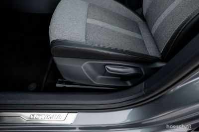 Skoda Octavia Gebrauchtwagen Skoda Octavia Gebrauchtwagen
