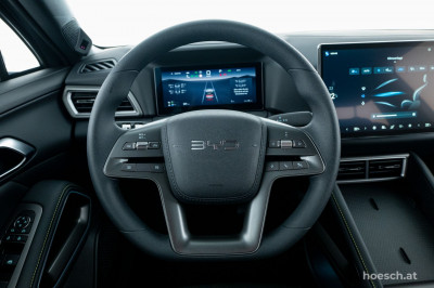 BYD Atto 2 Gebrauchtwagen