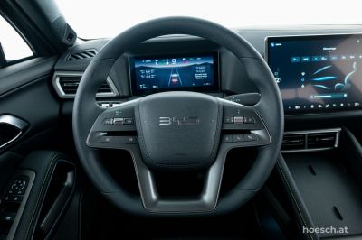 BYD Atto 2 Gebrauchtwagen BYD Atto 2 Gebrauchtwagen