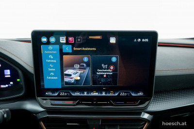 Cupra Formentor Gebrauchtwagen Cupra Formentor Gebrauchtwagen
