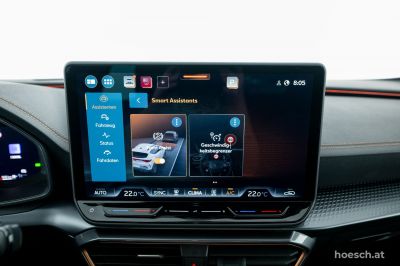 Cupra Formentor Gebrauchtwagen Cupra Formentor Gebrauchtwagen