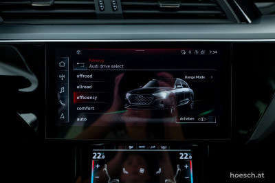 Audi Q8 e-tron Gebrauchtwagen Audi Q8 e-tron Gebrauchtwagen