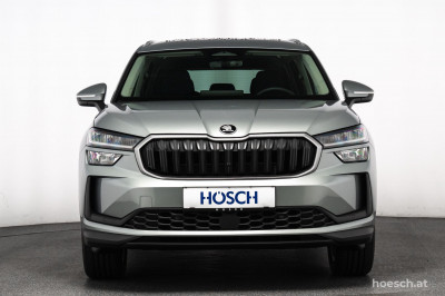 Skoda Kodiaq Gebrauchtwagen Skoda Kodiaq Gebrauchtwagen