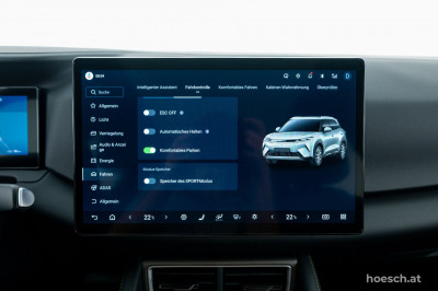 BYD Atto 2 Gebrauchtwagen BYD Atto 2 Gebrauchtwagen