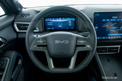 BYD Atto 2 Gebrauchtwagen BYD Atto 2 Gebrauchtwagen