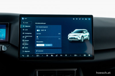 BYD Atto 2 Gebrauchtwagen