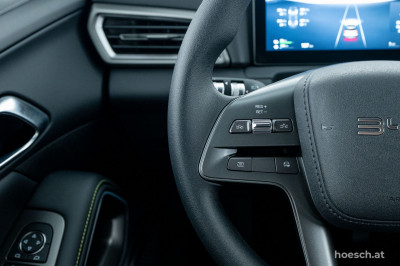 BYD Atto 2 Gebrauchtwagen