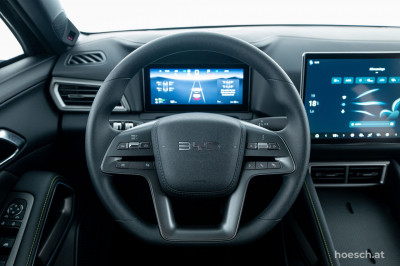 BYD Atto 2 Gebrauchtwagen
