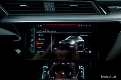 Audi e-tron Gebrauchtwagen
