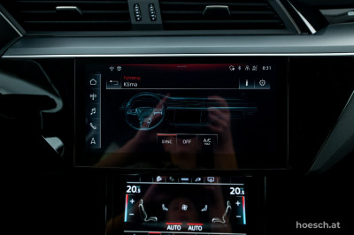 Audi e-tron Gebrauchtwagen