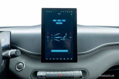 BYD Dolphin Surf Gebrauchtwagen BYD Dolphin Surf Gebrauchtwagen