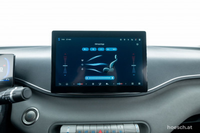BYD Dolphin Surf Gebrauchtwagen BYD Dolphin Surf Gebrauchtwagen