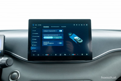 BYD Dolphin Surf Gebrauchtwagen BYD Dolphin Surf Gebrauchtwagen
