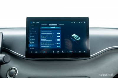 BYD Dolphin Surf Gebrauchtwagen BYD Dolphin Surf Gebrauchtwagen