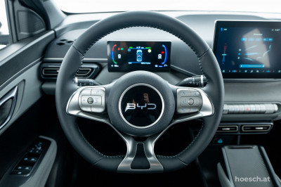 BYD Dolphin Surf Gebrauchtwagen BYD Dolphin Surf Gebrauchtwagen