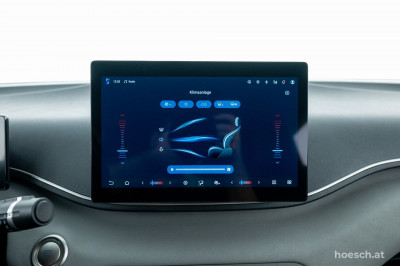 BYD Dolphin Surf Gebrauchtwagen BYD Dolphin Surf Gebrauchtwagen