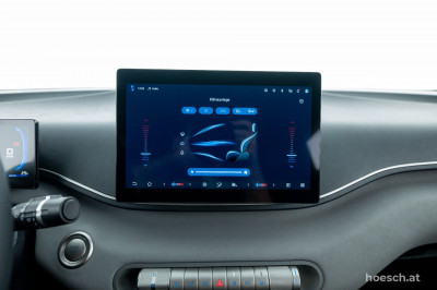 BYD Dolphin Surf Gebrauchtwagen BYD Dolphin Surf Gebrauchtwagen
