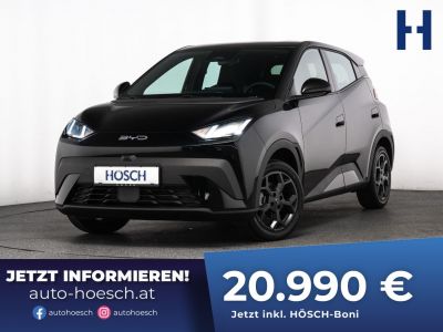 BYD Dolphin Surf Gebrauchtwagen