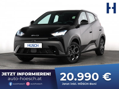 BYD Dolphin Surf Gebrauchtwagen BYD Dolphin Surf Gebrauchtwagen