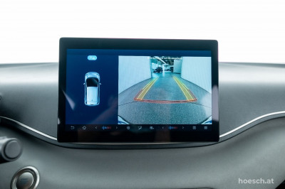 BYD Dolphin Surf Gebrauchtwagen BYD Dolphin Surf Gebrauchtwagen