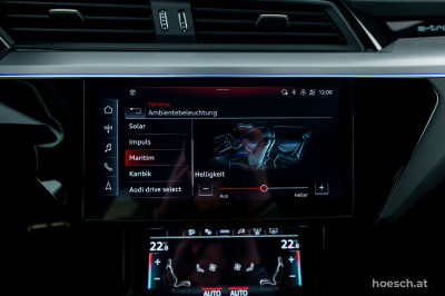 Audi Q8 e-tron Gebrauchtwagen Audi Q8 e-tron Gebrauchtwagen