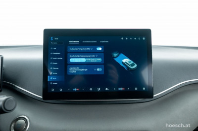 BYD Dolphin Surf Gebrauchtwagen BYD Dolphin Surf Gebrauchtwagen