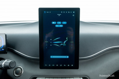 BYD Dolphin Surf Gebrauchtwagen BYD Dolphin Surf Gebrauchtwagen
