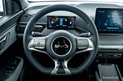 BYD Dolphin Surf Gebrauchtwagen BYD Dolphin Surf Gebrauchtwagen