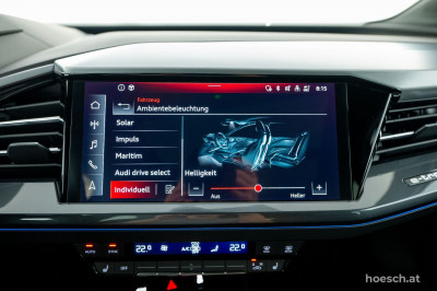 Audi Q4 e-tron Gebrauchtwagen Audi Q4 e-tron Gebrauchtwagen