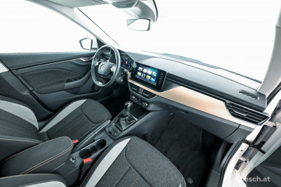 Skoda Kamiq Gebrauchtwagen