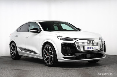 Audi Q6 e-tron Gebrauchtwagen Audi Q6 e-tron Gebrauchtwagen