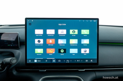 Geely Starray Gebrauchtwagen