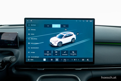Geely Starray Gebrauchtwagen