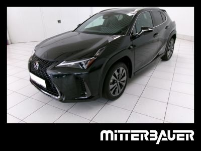 Lexus UX Vorführwagen