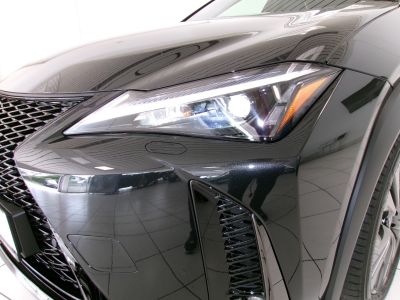 Lexus UX Vorführwagen