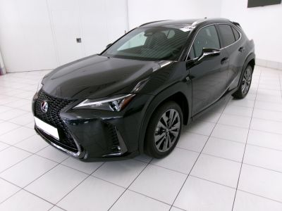 Lexus UX Vorführwagen