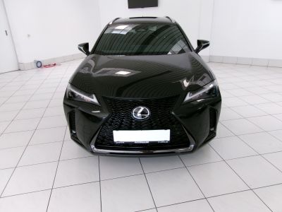 Lexus UX Vorführwagen