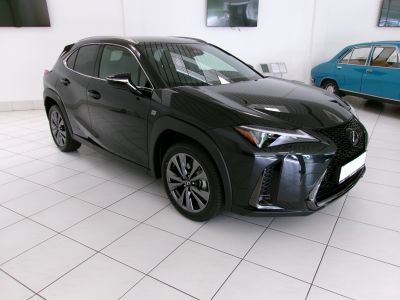 Lexus UX Vorführwagen