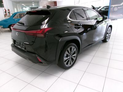 Lexus UX Vorführwagen