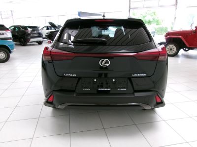 Lexus UX Vorführwagen