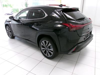 Lexus UX Vorführwagen