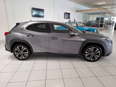 Lexus UX Gebrauchtwagen