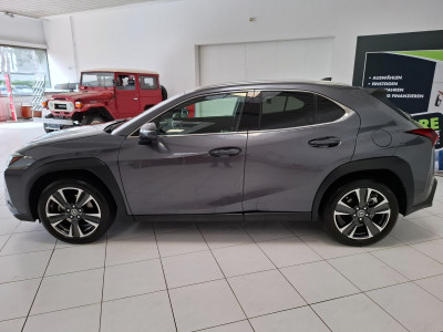 Lexus UX Gebrauchtwagen