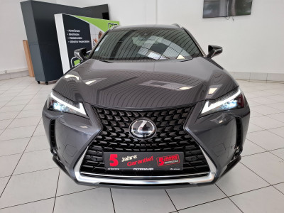 Lexus UX Gebrauchtwagen