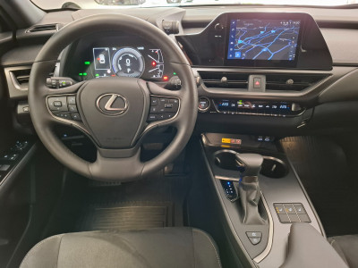 Lexus UX Gebrauchtwagen