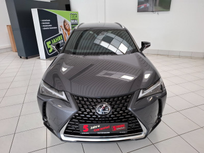 Lexus UX Gebrauchtwagen