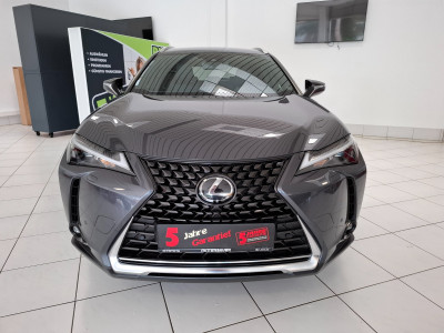 Lexus UX Gebrauchtwagen