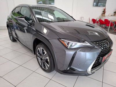 Lexus UX Gebrauchtwagen